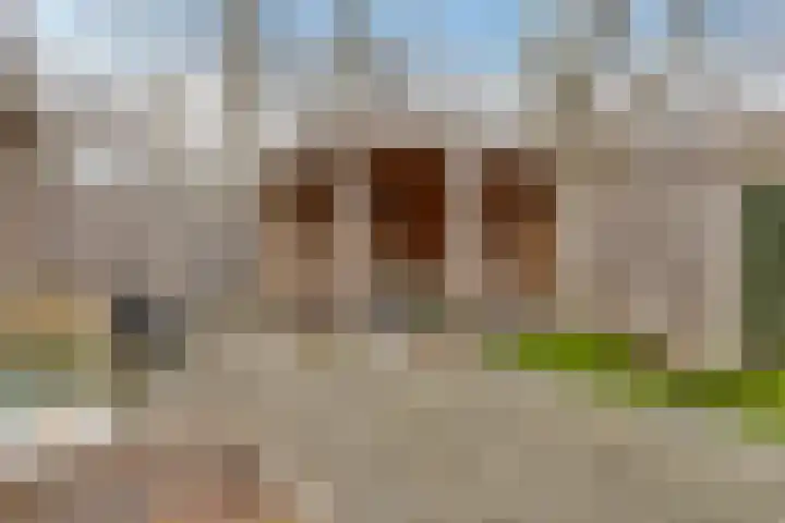 Kwikstaart 24 Siddeburen thumbnail 13