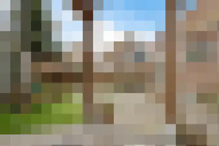 Kwikstaart 24 Siddeburen thumbnail 15