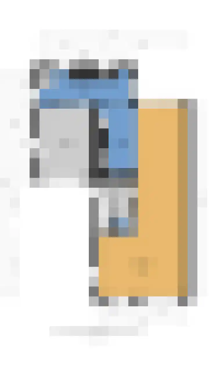 Kwikstaart 24 Siddeburen thumbnail 17