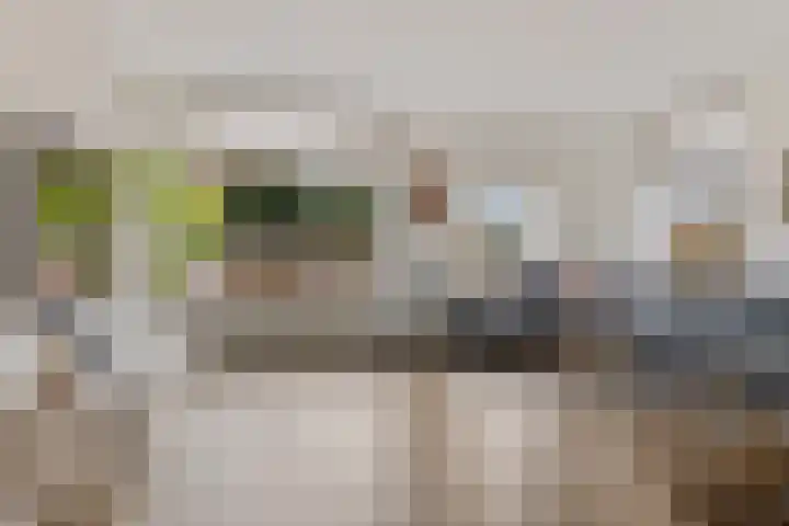 Kwikstaart 24 Siddeburen thumbnail 21