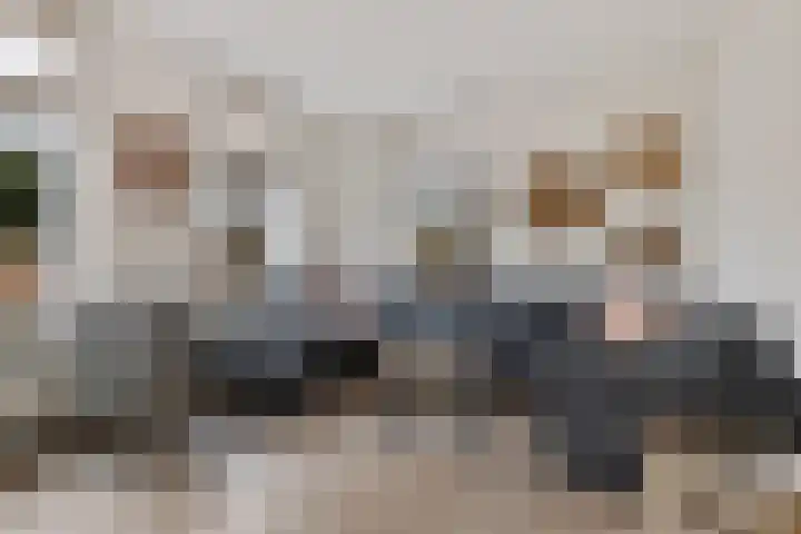 Kwikstaart 24 Siddeburen thumbnail 23
