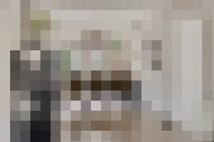 Kwikstaart 24 Siddeburen thumbnail 25
