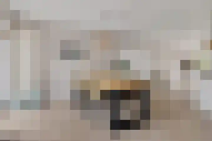 Kwikstaart 24 Siddeburen thumbnail 26