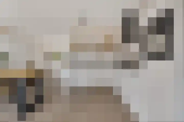 Kwikstaart 24 Siddeburen thumbnail 28