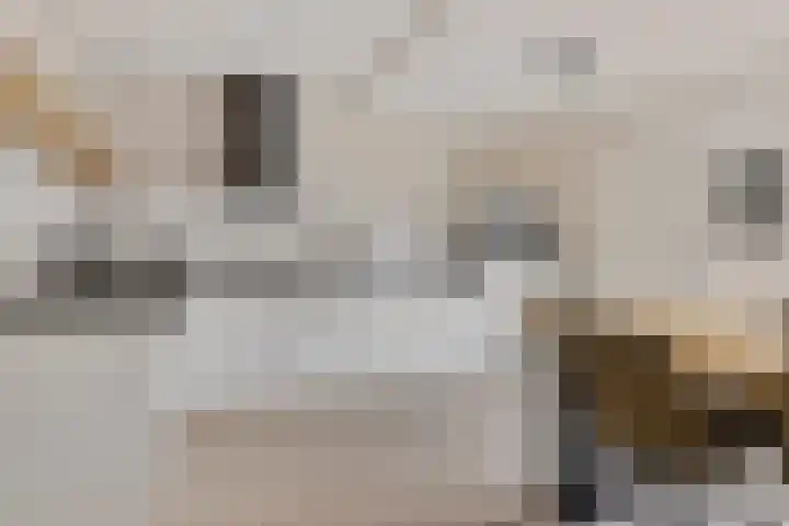 Kwikstaart 24 Siddeburen thumbnail 30