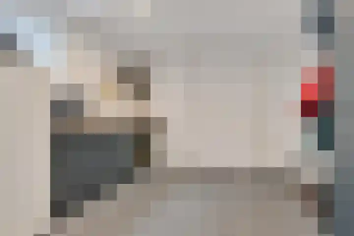 Kwikstaart 24 Siddeburen thumbnail 35