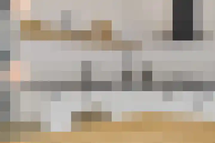 Kwikstaart 24 Siddeburen thumbnail 4