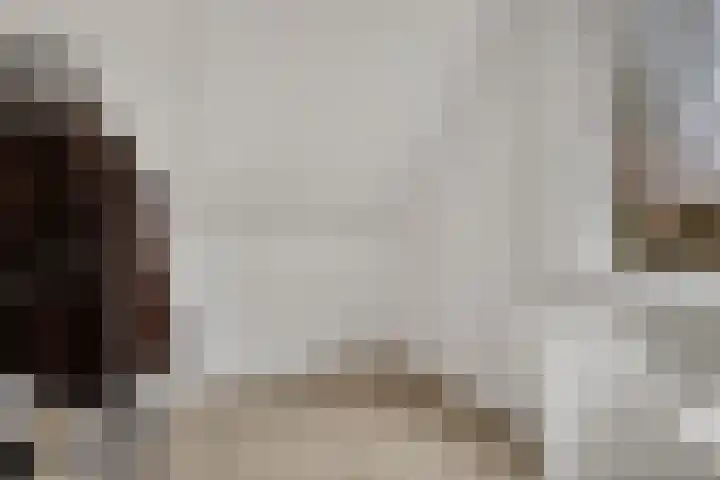 Kwikstaart 24 Siddeburen thumbnail 44