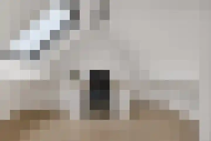 Kwikstaart 24 Siddeburen thumbnail 50