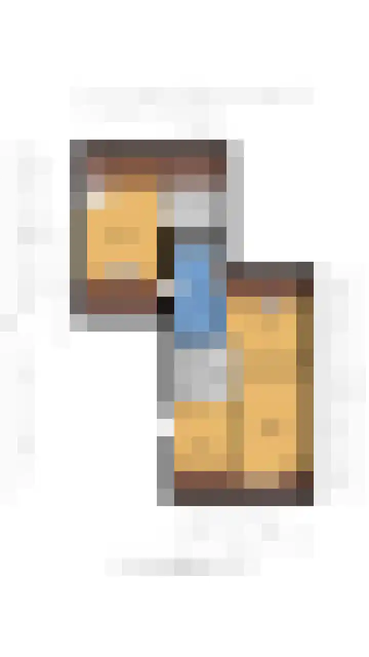 Kwikstaart 24 Siddeburen thumbnail 52