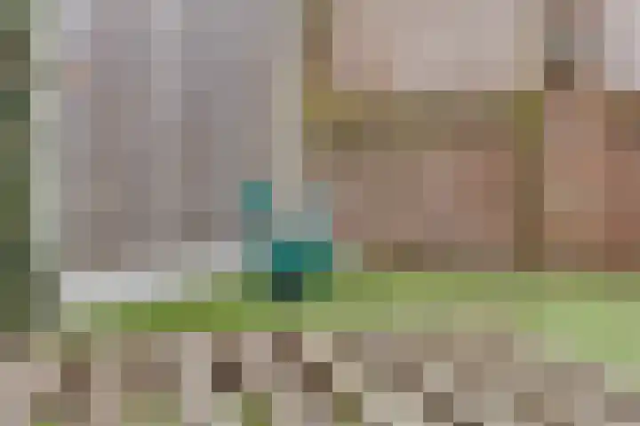 Kwikstaart 24 Siddeburen thumbnail 6