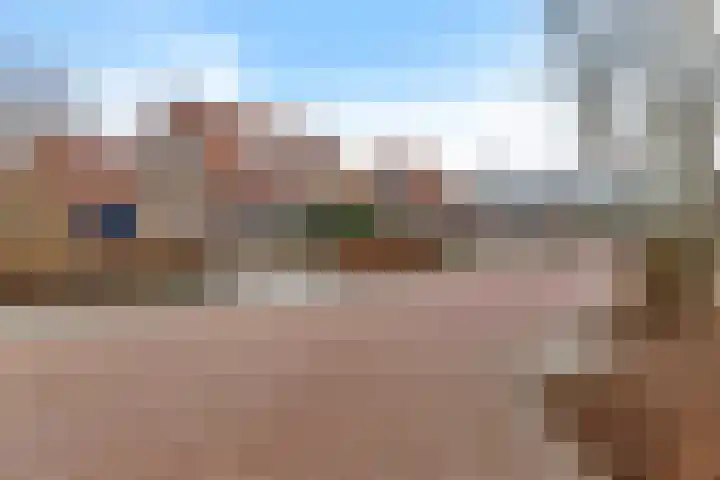 Kwikstaart 24 Siddeburen thumbnail 7