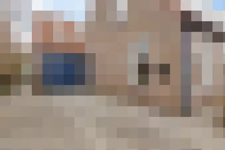 Kwikstaart 24 Siddeburen thumbnail 9