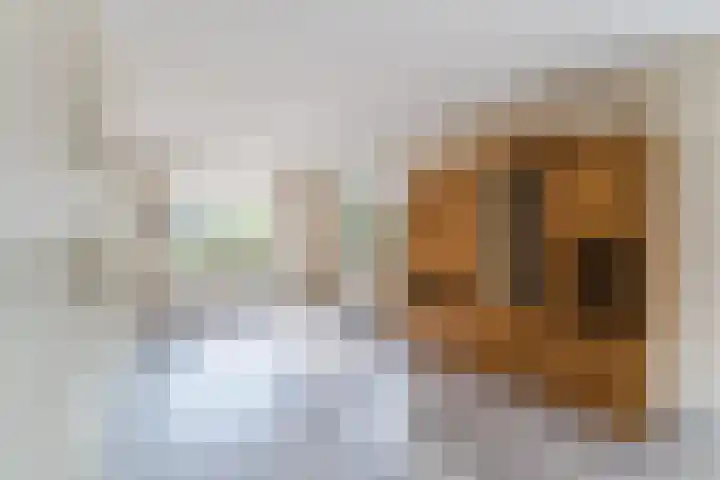 Kwikstaart 27 Bunschoten-Spakenburg thumbnail 10