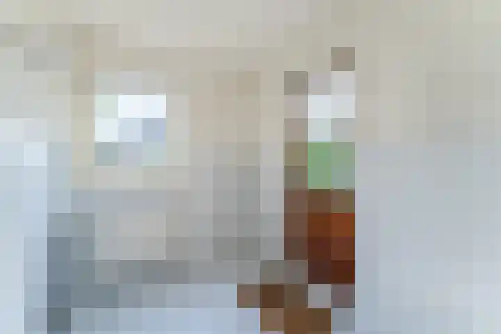 Kwikstaart 27 Bunschoten-Spakenburg thumbnail 14