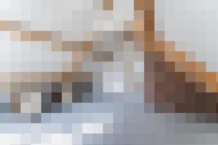 Kwikstaart 27 Bunschoten-Spakenburg thumbnail 26