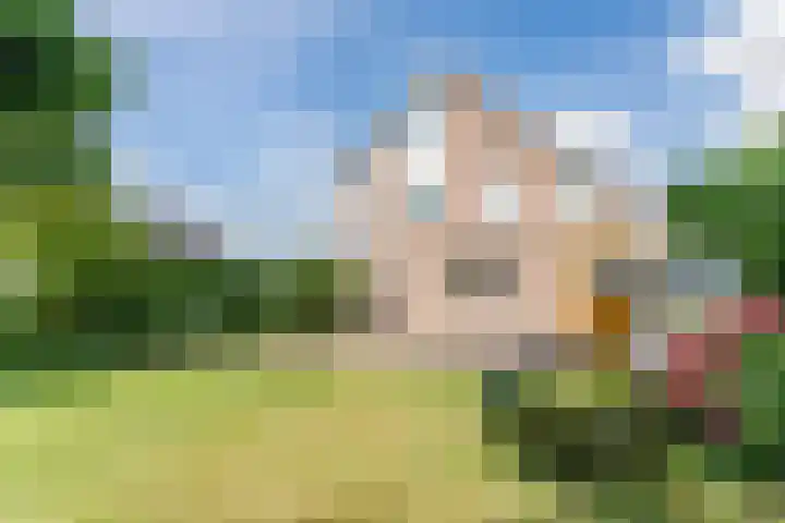 Kwikstaart 27 Bunschoten-Spakenburg thumbnail 30