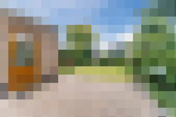 Kwikstaart 27 Bunschoten-Spakenburg thumbnail 32