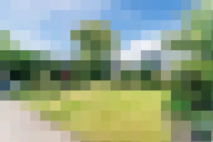 Kwikstaart 27 Bunschoten-Spakenburg thumbnail 33