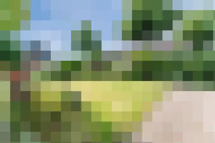 Kwikstaart 27 Bunschoten-Spakenburg thumbnail 34