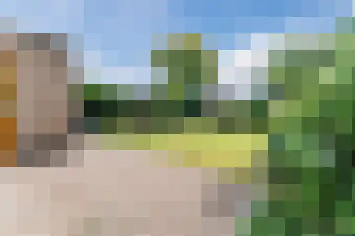 Kwikstaart 27 Bunschoten-Spakenburg thumbnail 35