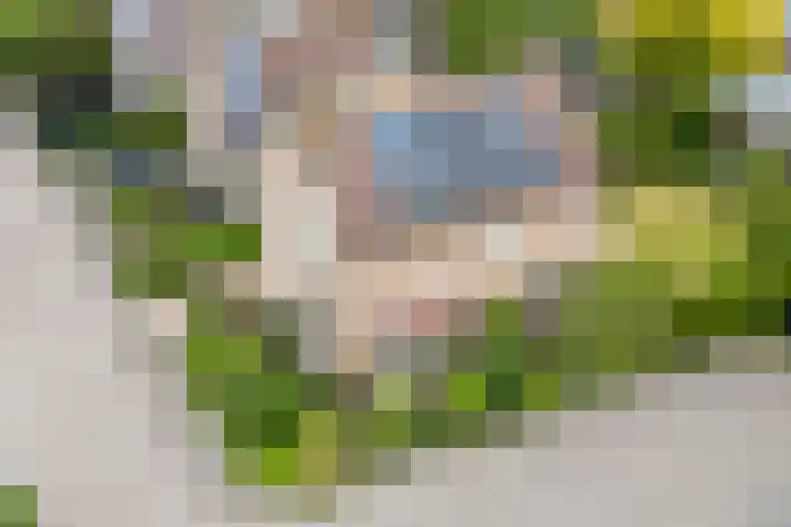 Kwikstaart 27 Bunschoten-Spakenburg thumbnail 36