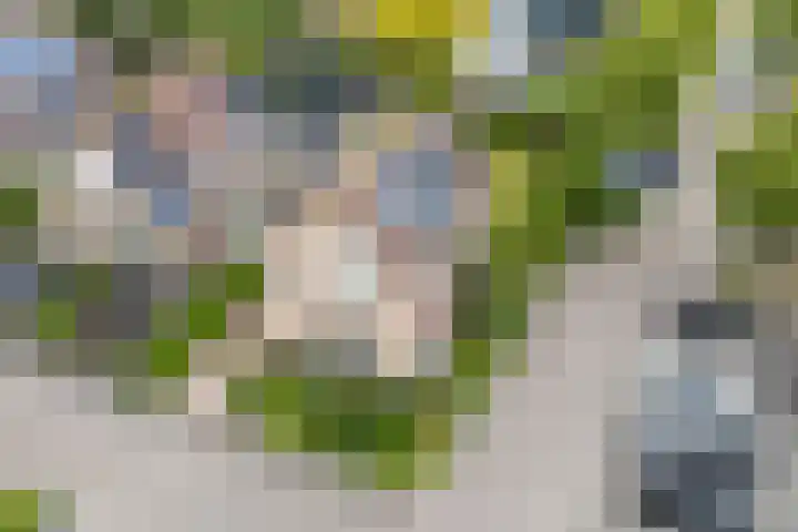 Kwikstaart 27 Bunschoten-Spakenburg thumbnail 39