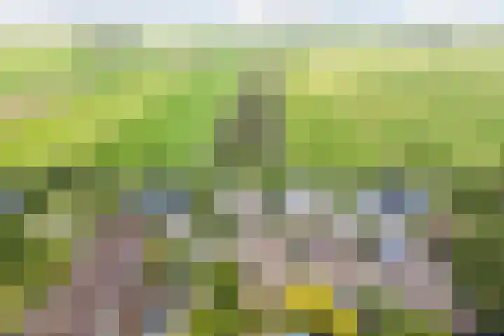 Kwikstaart 27 Bunschoten-Spakenburg thumbnail 40