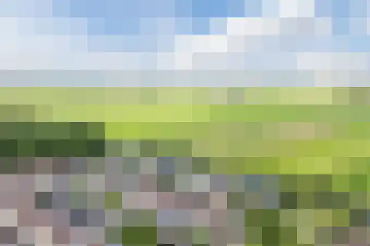 Kwikstaart 27 Bunschoten-Spakenburg thumbnail 41