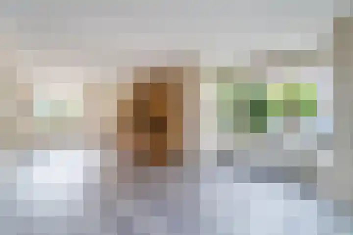 Kwikstaart 27 Bunschoten-Spakenburg thumbnail 9