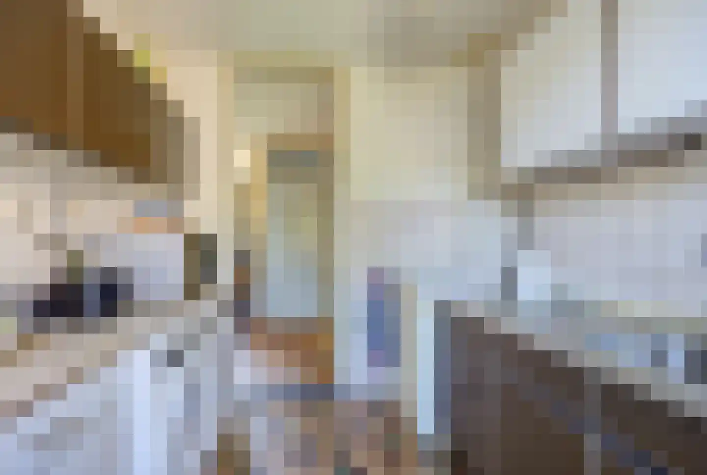 Kwikstaart 3 Etten-Leur thumbnail 14