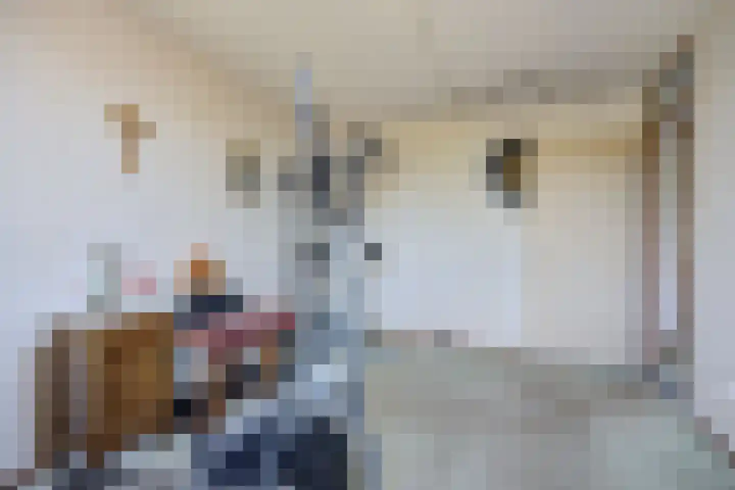 Kwikstaart 3 Etten-Leur thumbnail 17