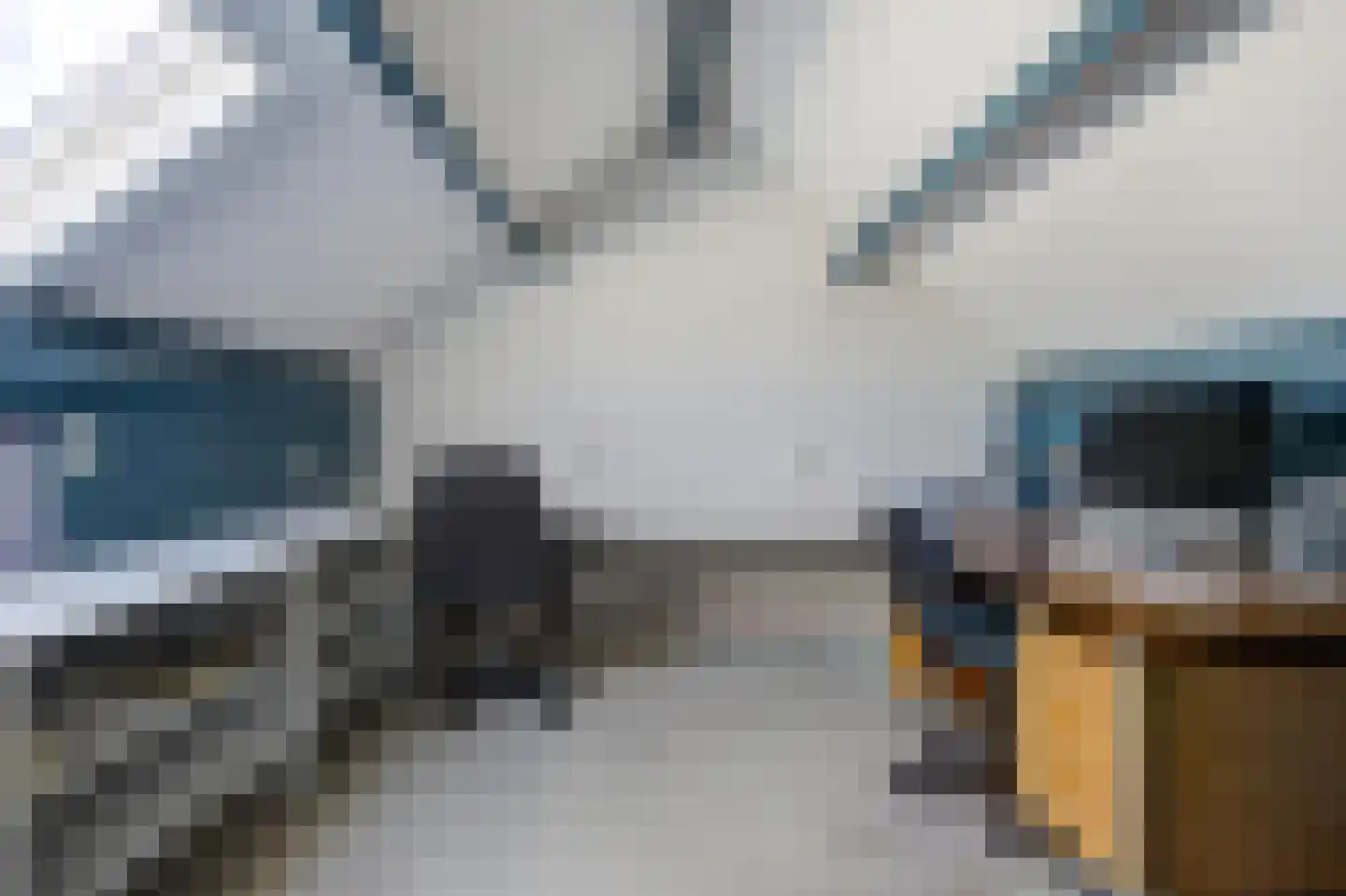 Kwikstaart 3 Etten-Leur thumbnail 26
