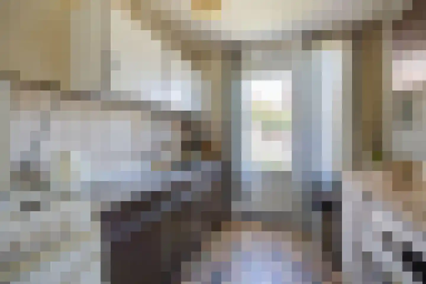 Kwikstaart 3 Etten-Leur foto 3