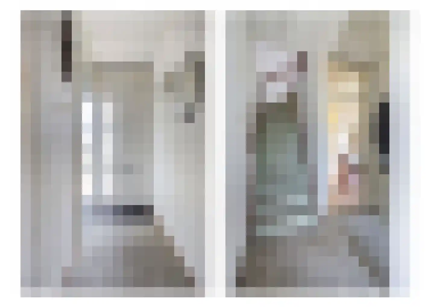 Kwikstaart 3 Etten-Leur thumbnail 6