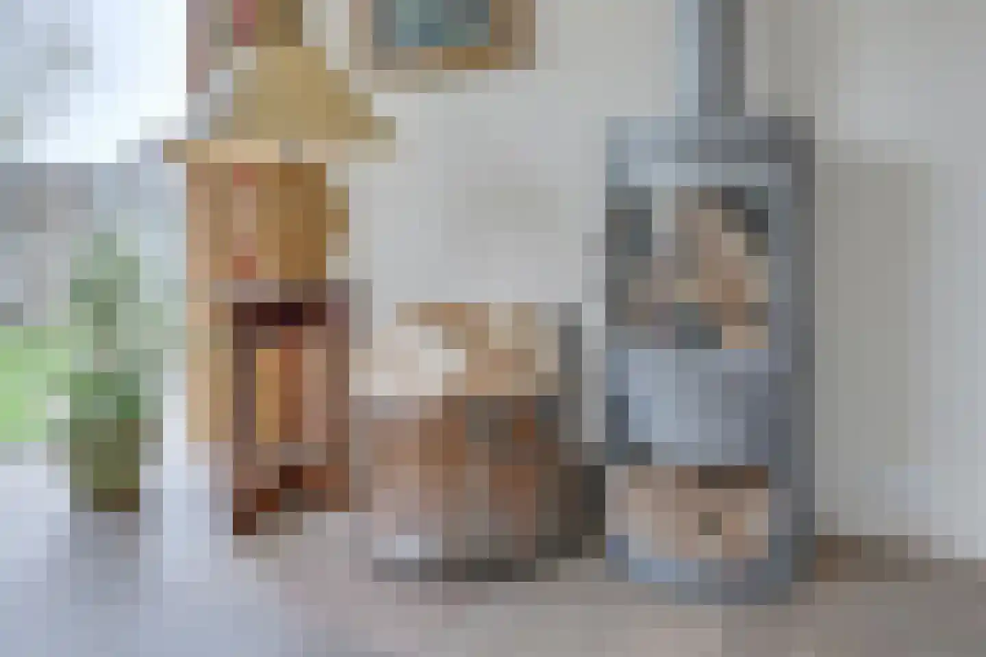 Kwikstaart 4 Obdam thumbnail 12