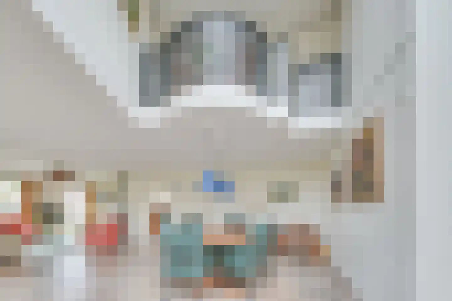 Kwikstaart 4 Obdam thumbnail 20