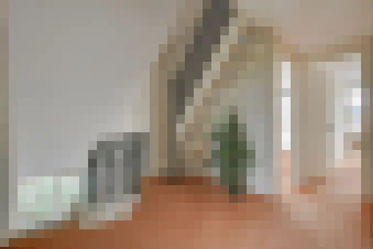 Kwikstaart 4 Obdam thumbnail 28