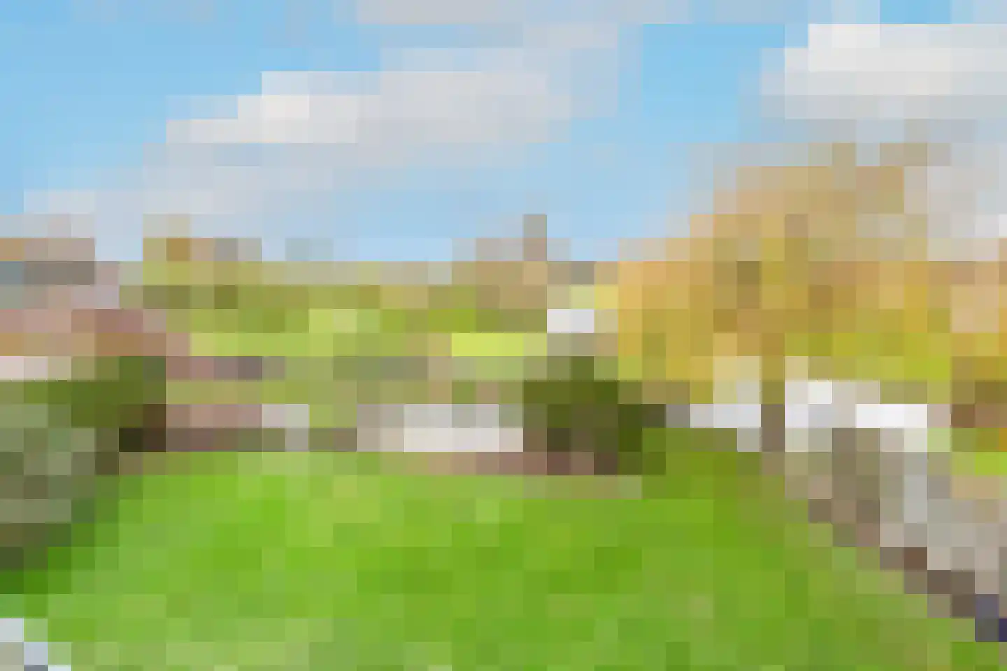 Kwikstaart 4 Obdam foto 3