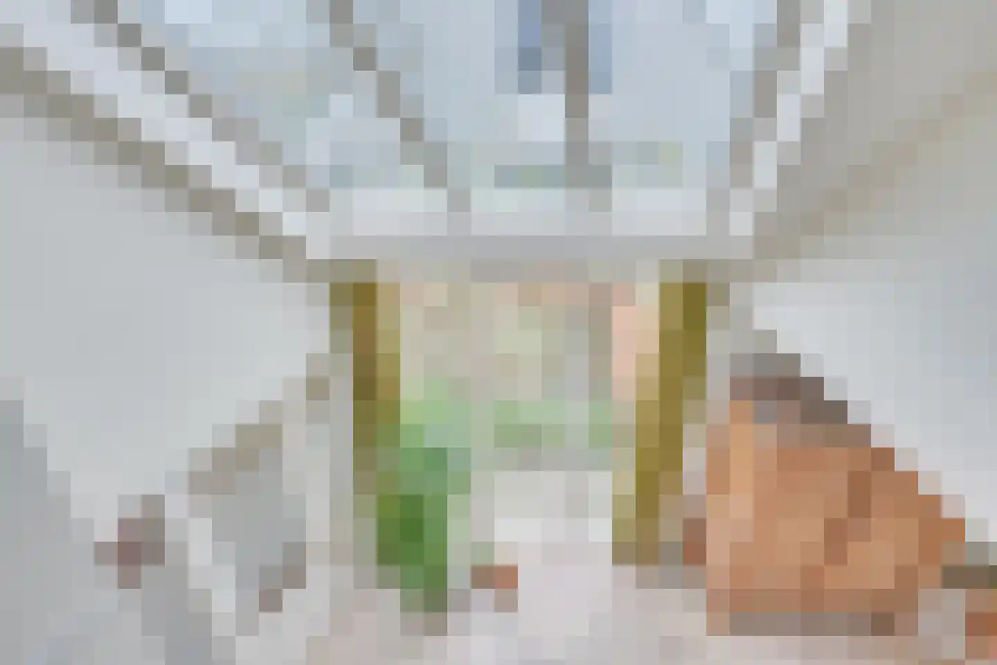 Kwikstaart 4 Obdam thumbnail 36