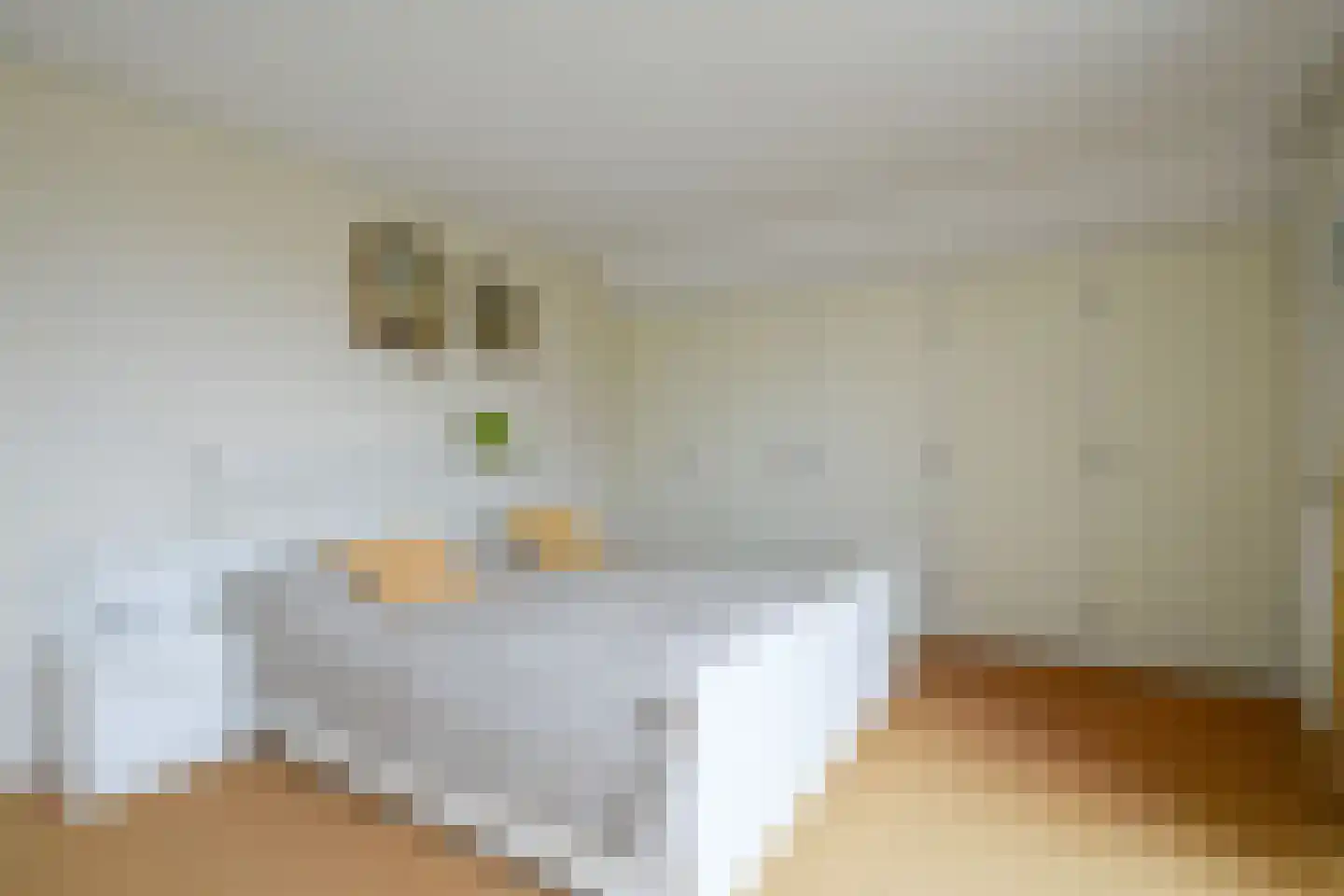 Kwikstaart 4 Obdam thumbnail 39