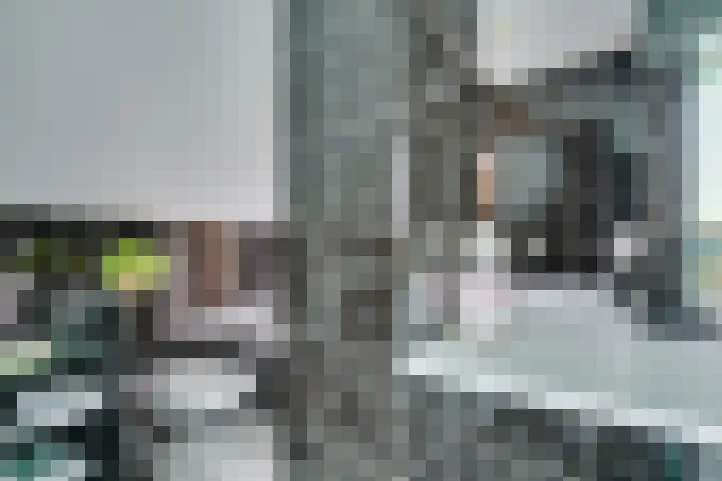 Kwikstaart 4 Obdam thumbnail 43