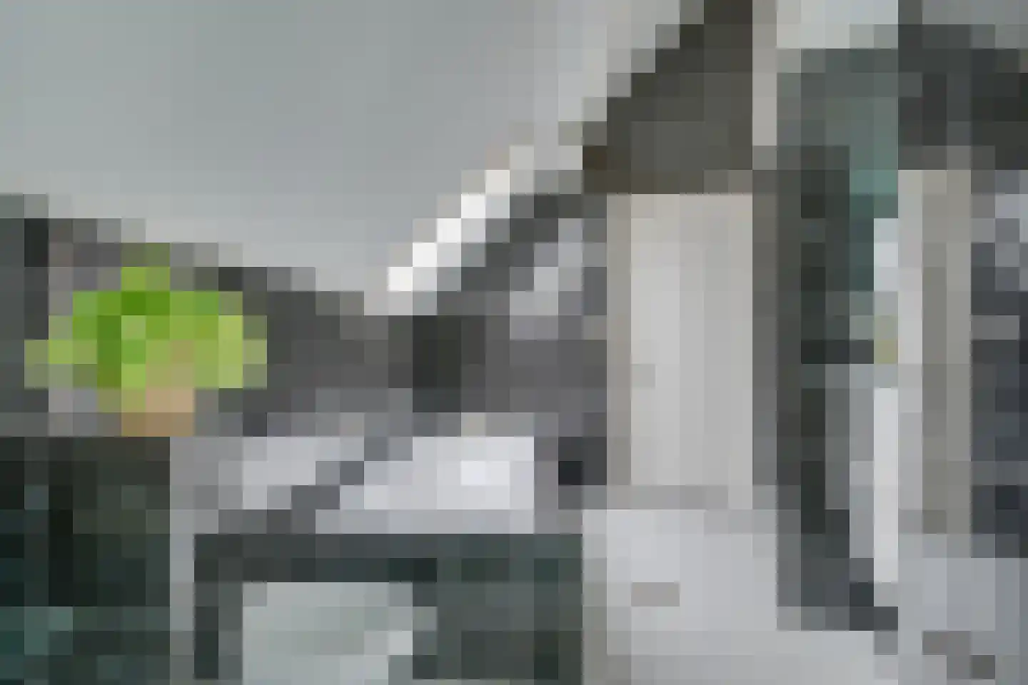 Kwikstaart 4 Obdam thumbnail 44