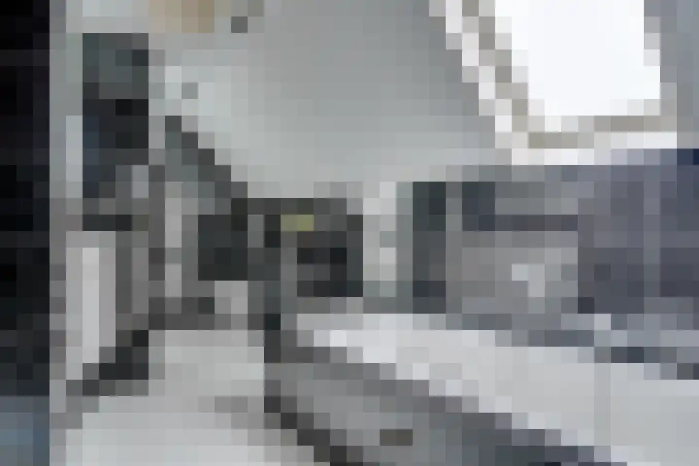 Kwikstaart 4 Obdam thumbnail 45