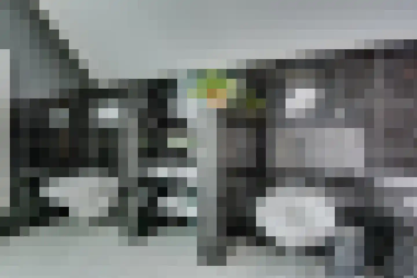 Kwikstaart 4 Obdam thumbnail 47