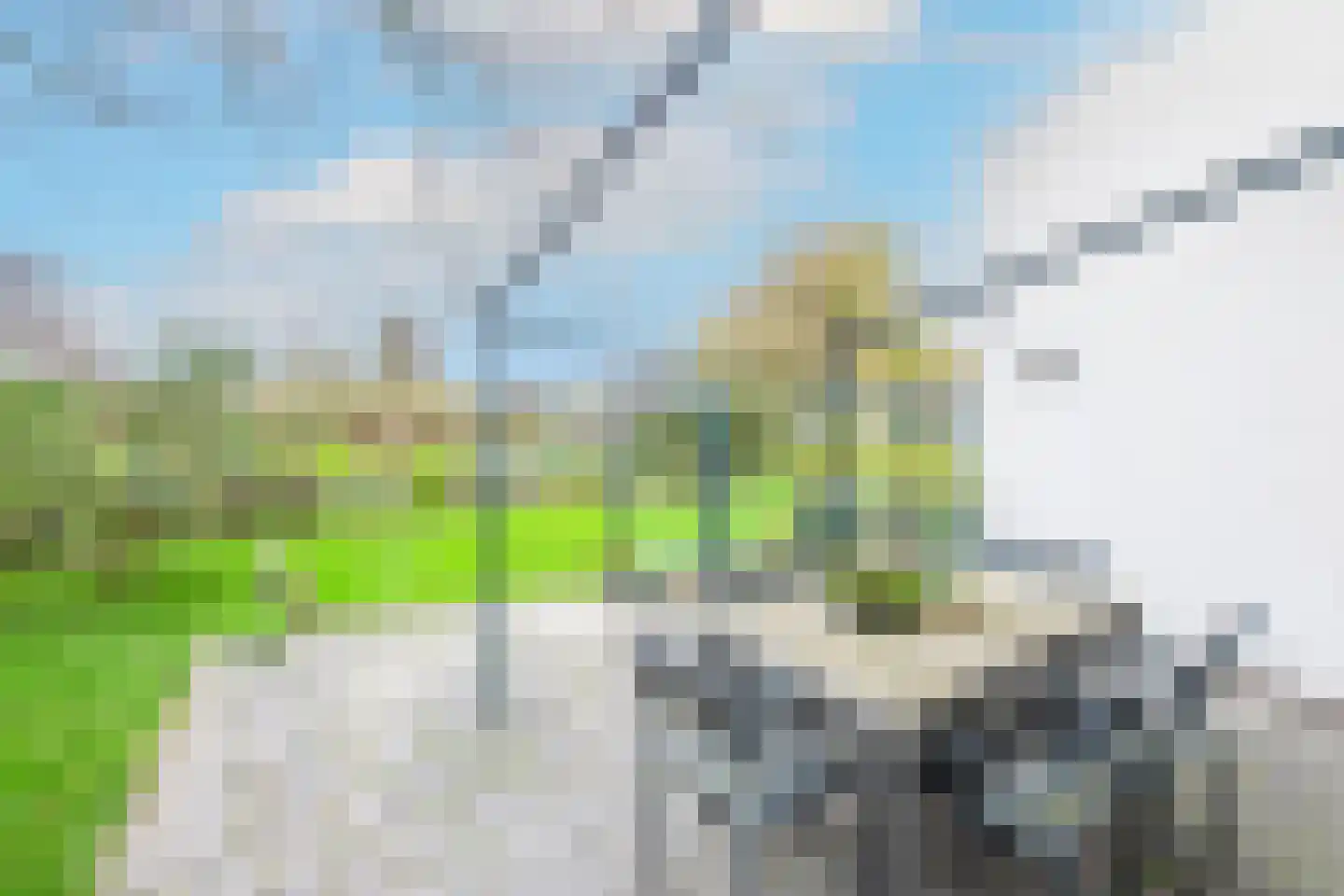 Kwikstaart 4 Obdam thumbnail 61