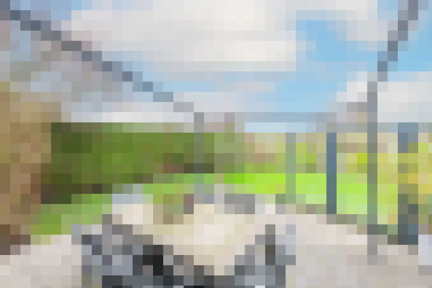 Kwikstaart 4 Obdam thumbnail 62