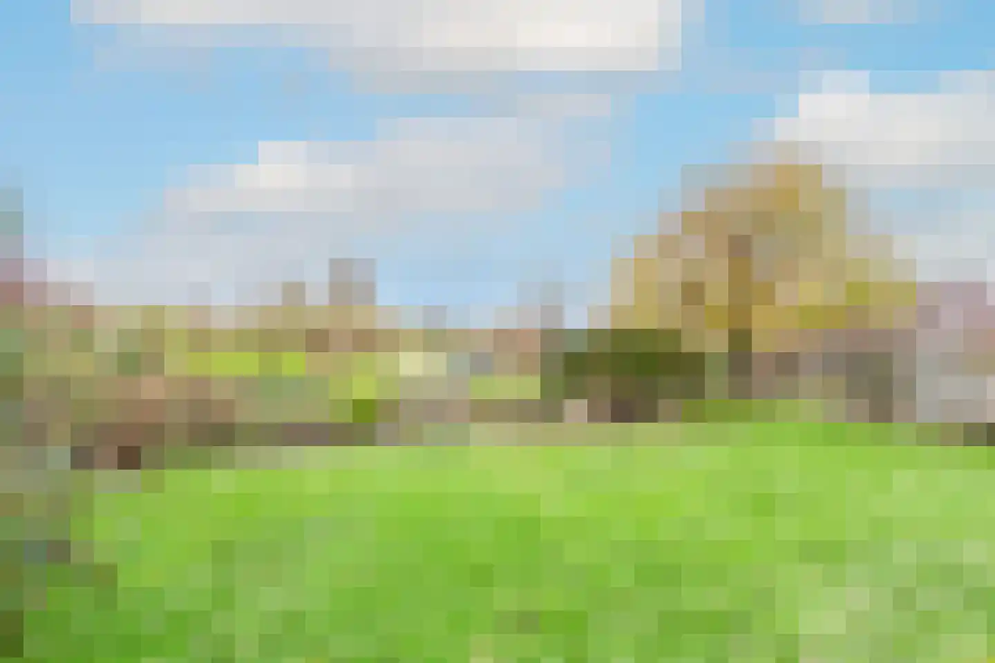 Kwikstaart 4 Obdam thumbnail 63