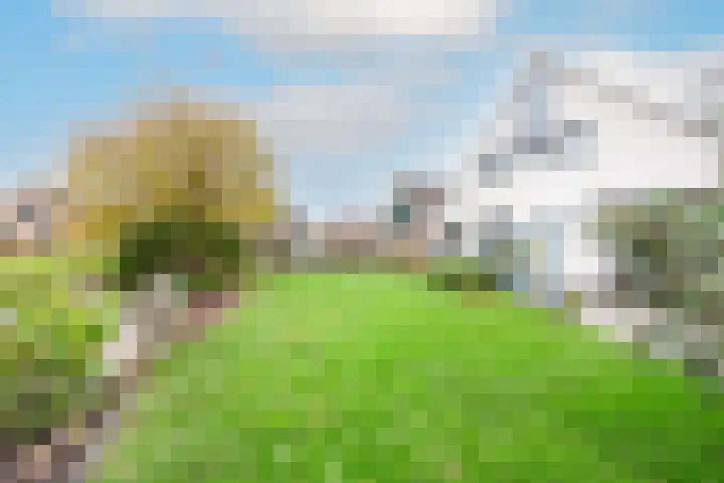 Kwikstaart 4 Obdam thumbnail 64