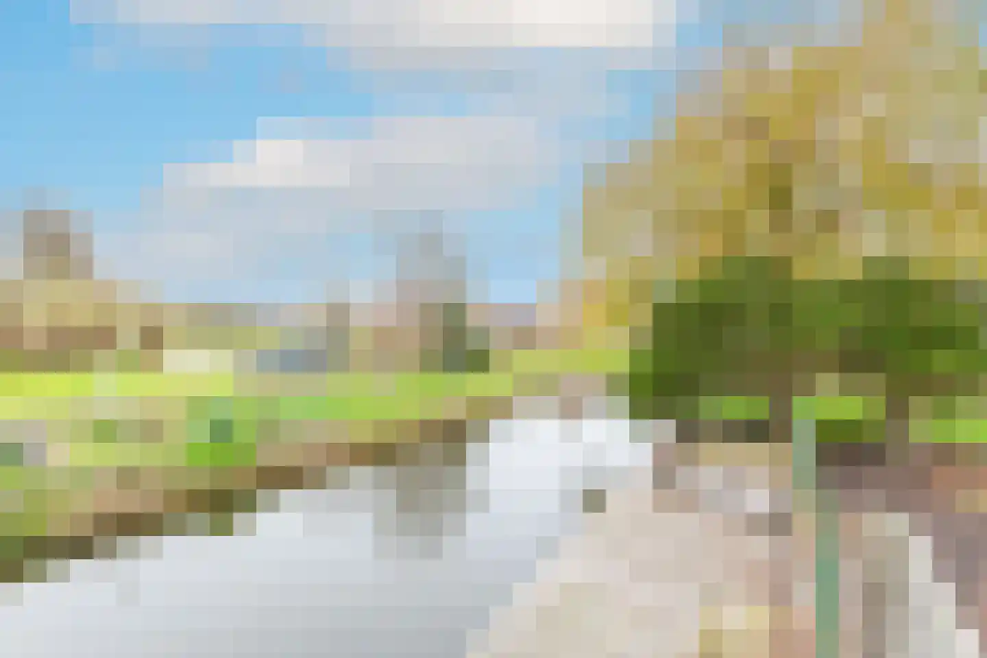 Kwikstaart 4 Obdam thumbnail 65